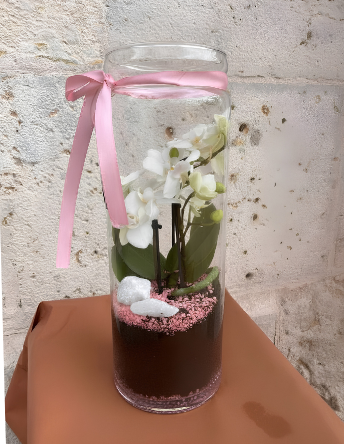 MINI ORQUÍDEA EN VÍDRIO