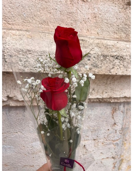 VÍNCULO DE 2 ROSAS ROJAS