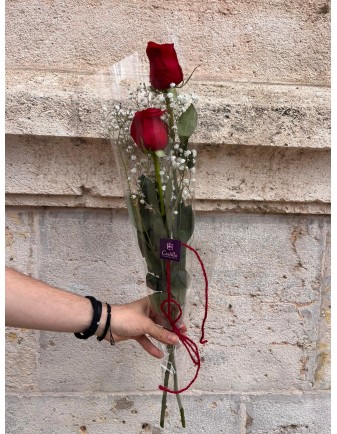 VÍNCULO DE 2 ROSAS ROJAS