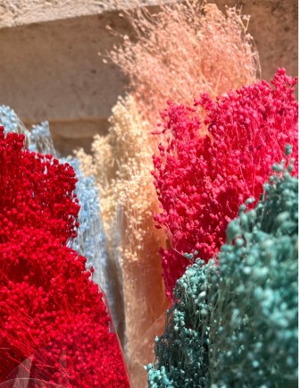 RAMO PRESERVADO BROOMS 2