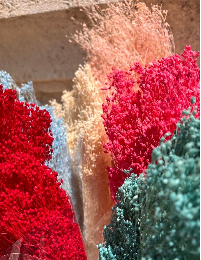 RAMO PRESERVADO BROOMS