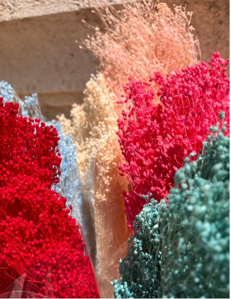 RAMO PRESERVADO BROOMS