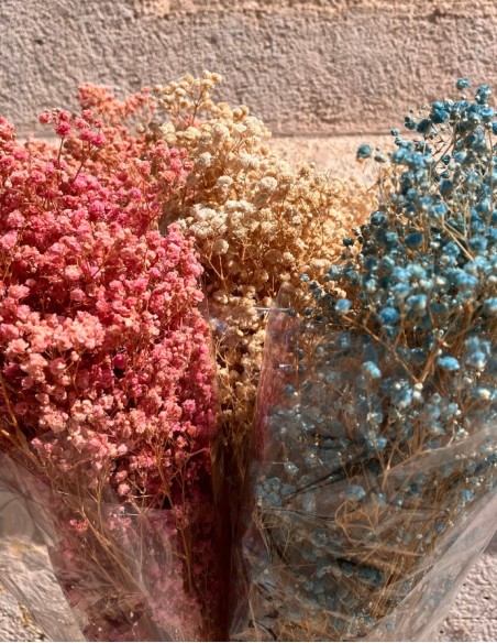 RAMO PANICULATA
