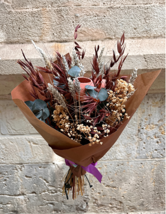 DELICIA VISUAL