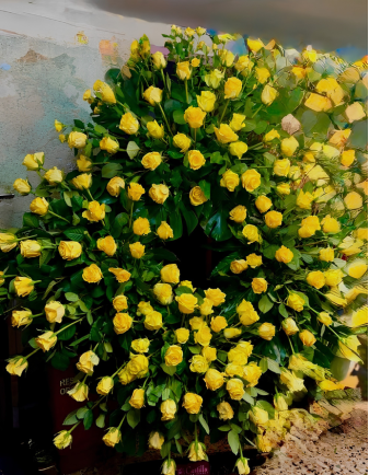 Corona Ámbar