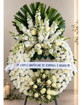 Corona Infinita