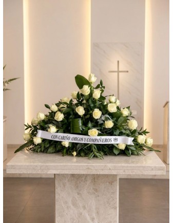 Palma Memoria
