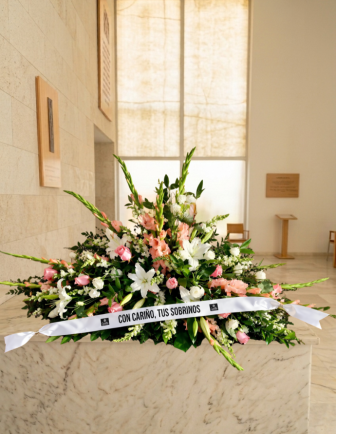 Palma Recuerdo Santos