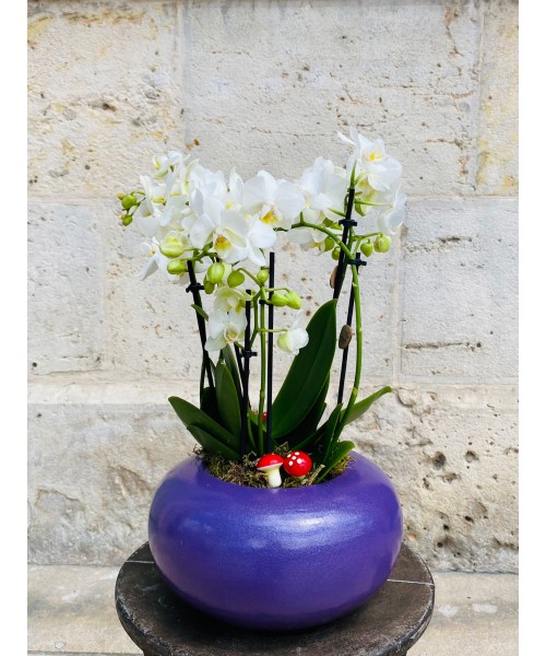 Orquídea en cerámica morada