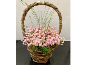 Cesta Rosa