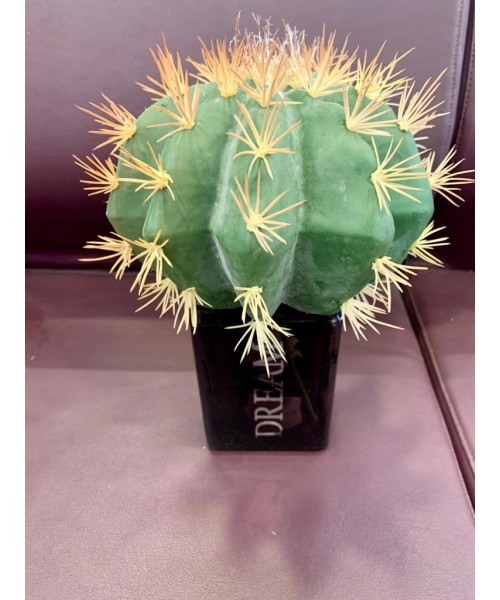 Cactus artificial bola