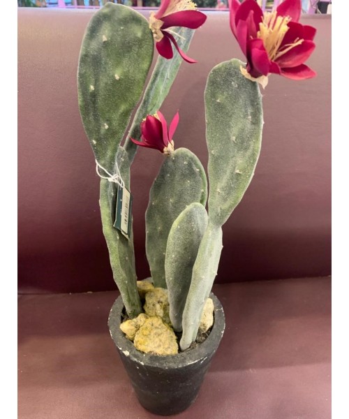 Cactus artificial flor