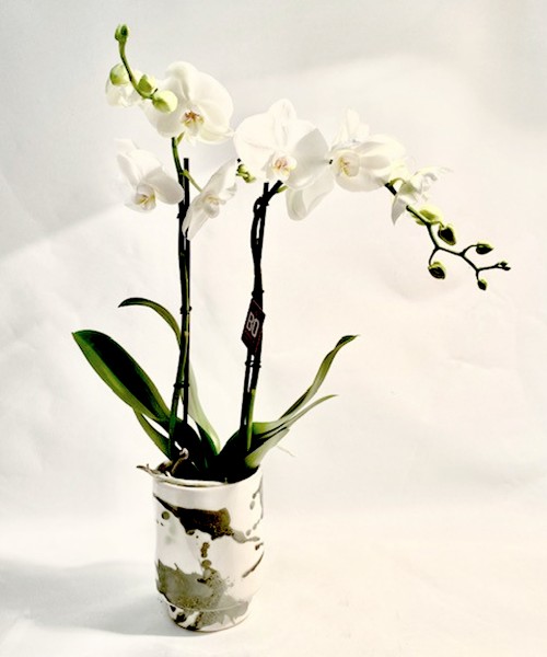 Orquídea en cerámica