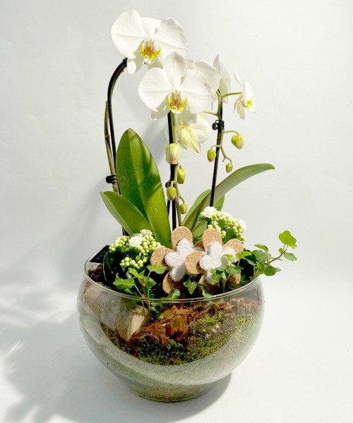 Vidrio orquidea